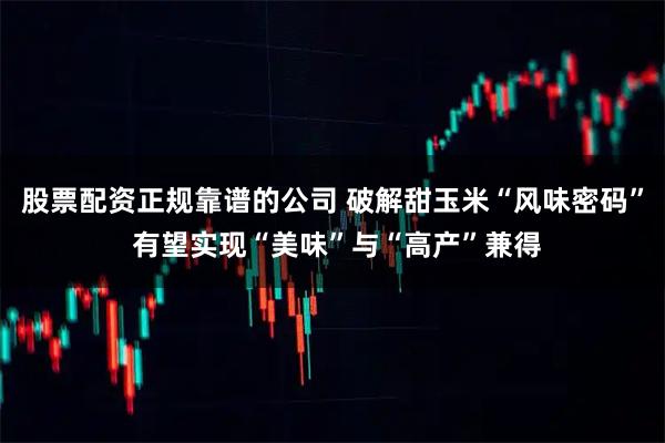 股票配资正规靠谱的公司 破解甜玉米“风味密码” 有望实现“美味”与“高产”兼得