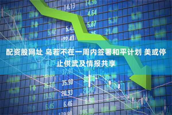 配资股网址 乌若不在一周内签署和平计划 美或停止供武及情报共享